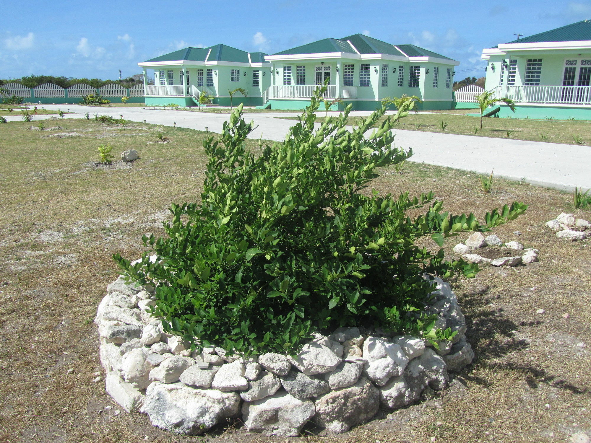 Sea Grape Villas The Settlement Bagian luar foto